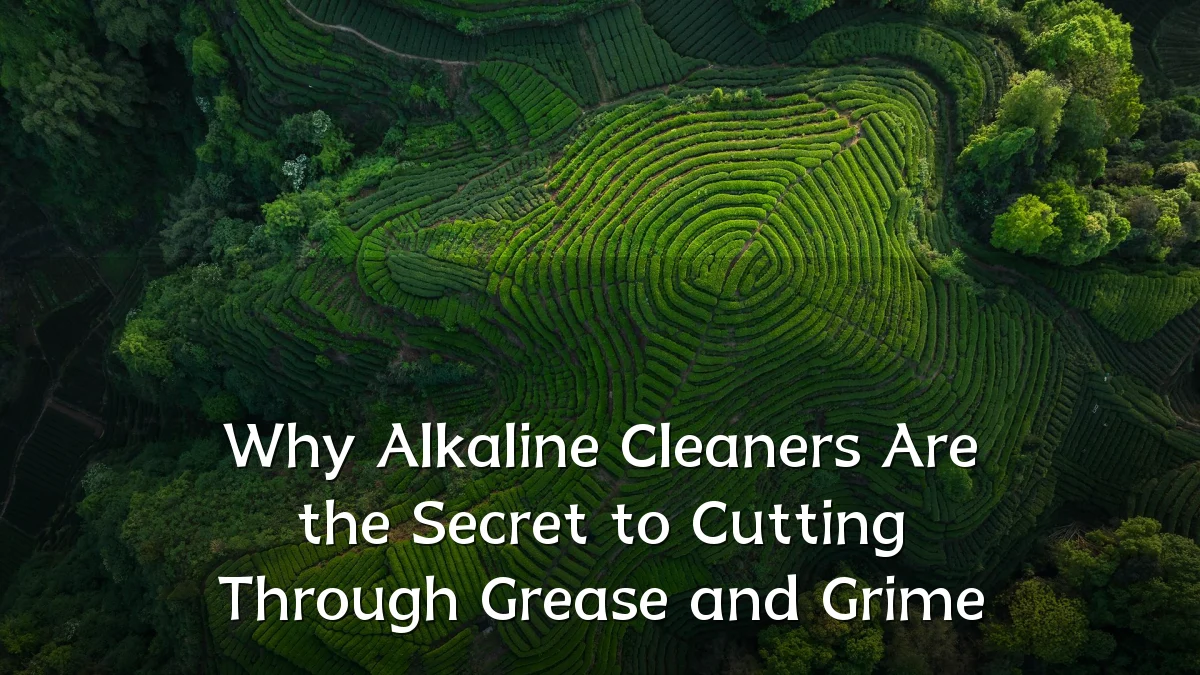 Why Alkaline Cleaners Are the Secret to Cutting Through Grease and Grime