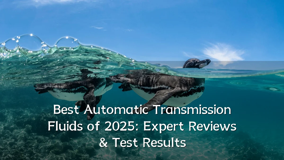 Best Automatic Transmission Fluids of 2025: Expert Reviews & Test Results