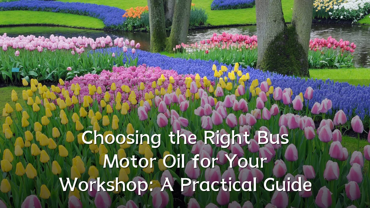Choosing the Right Bus Motor Oil for Your Workshop: A Practical Guide