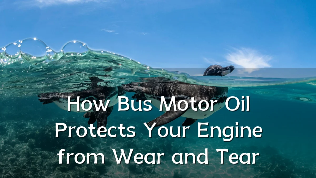 How Bus Motor Oil Protects Your Engine from Wear and Tear