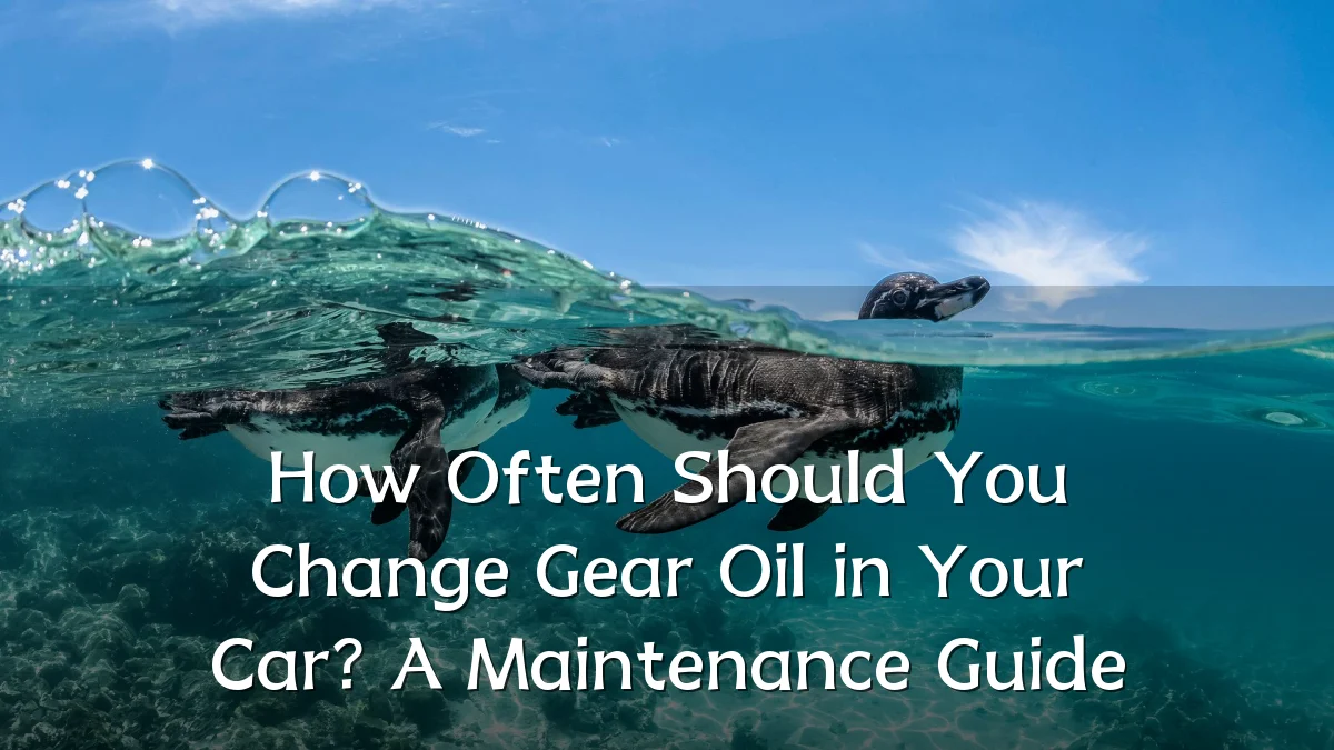 How Often Should You Change Gear Oil in Your Car? A Maintenance Guide