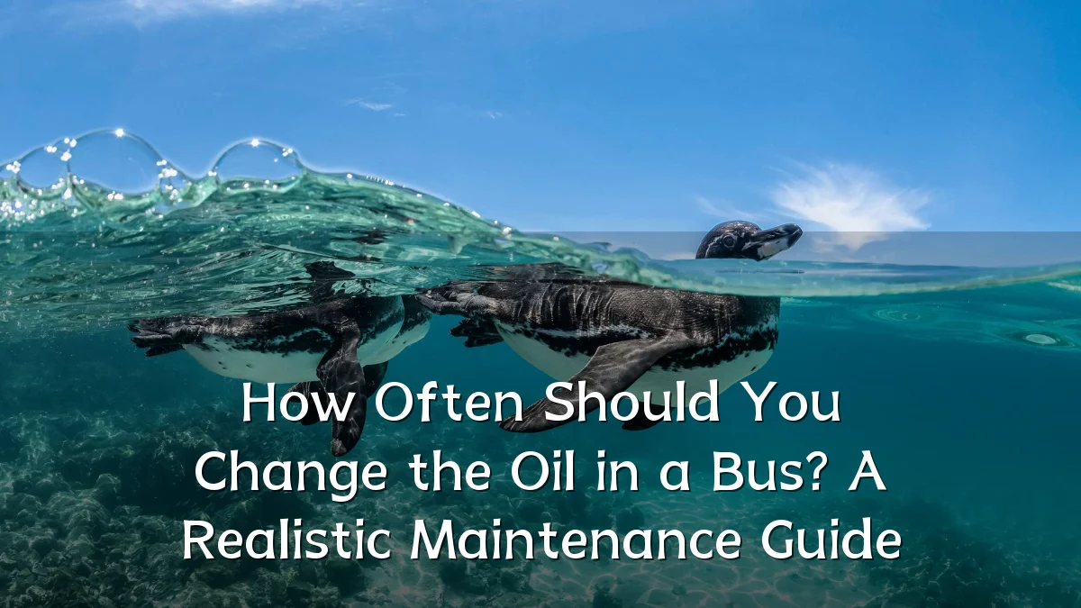 How Often Should You Change the Oil in a Bus? A Realistic Maintenance Guide