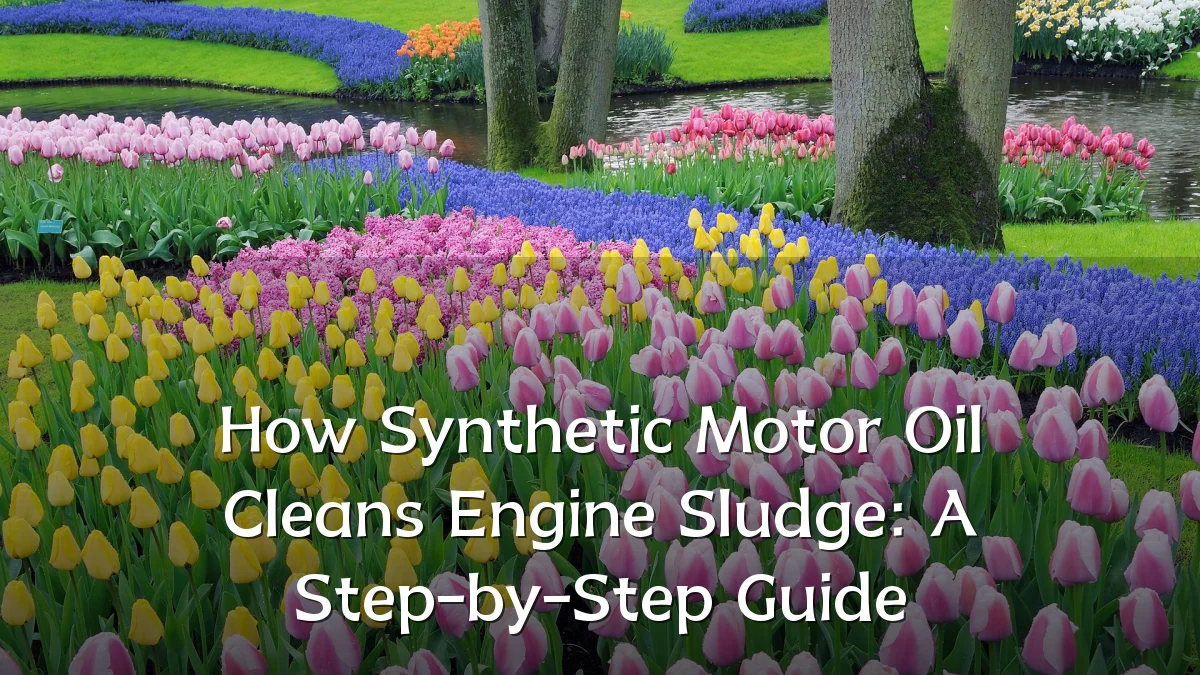 How Synthetic Motor Oil Cleans Engine Sludge: A Step-by-Step Guide