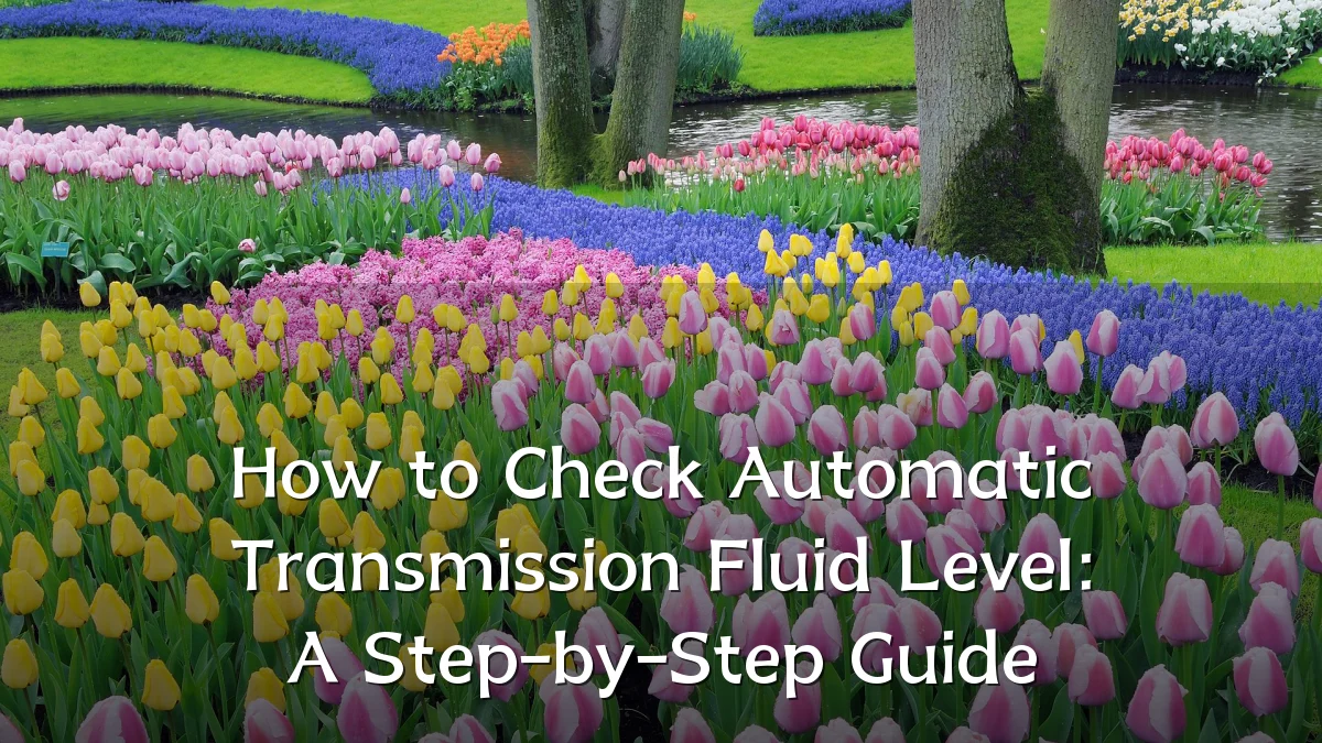 How to Check Automatic Transmission Fluid Level: A Step-by-Step Guide