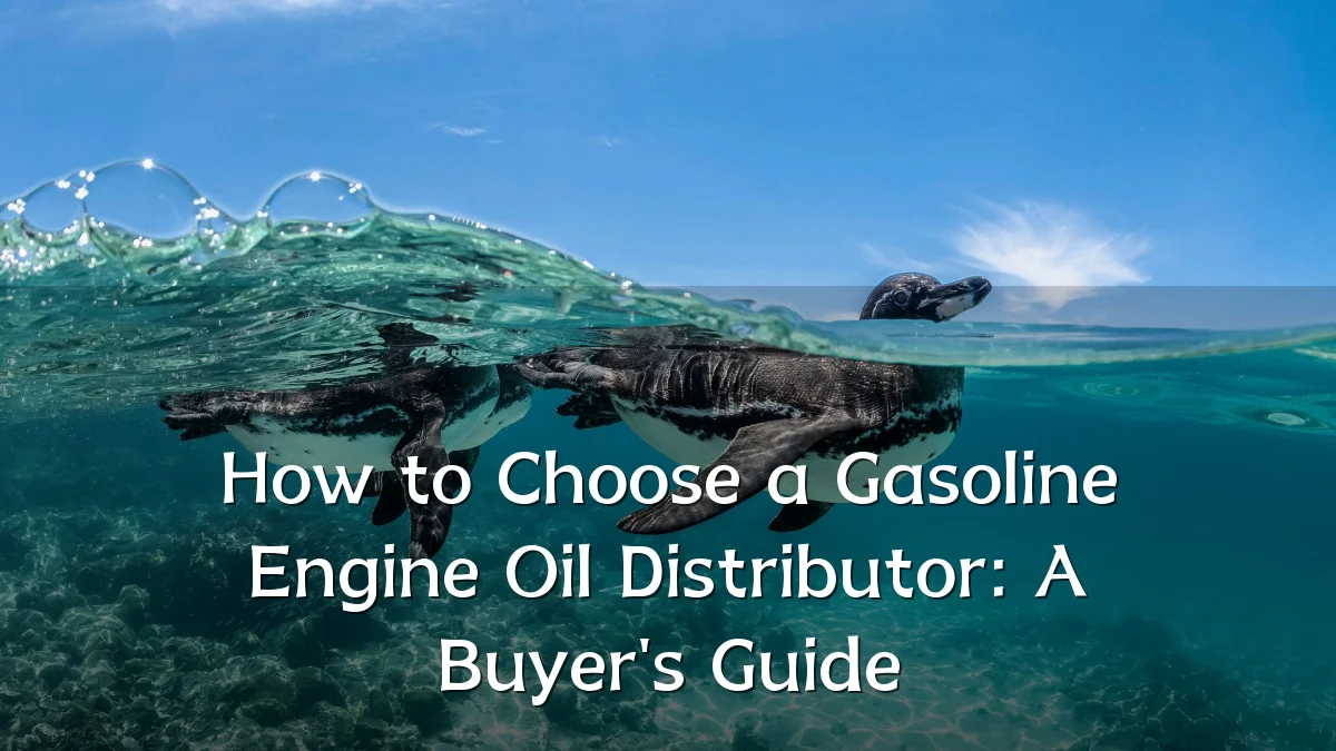 How to Choose a Gasoline Engine Oil Distributor: A Buyer's Guide