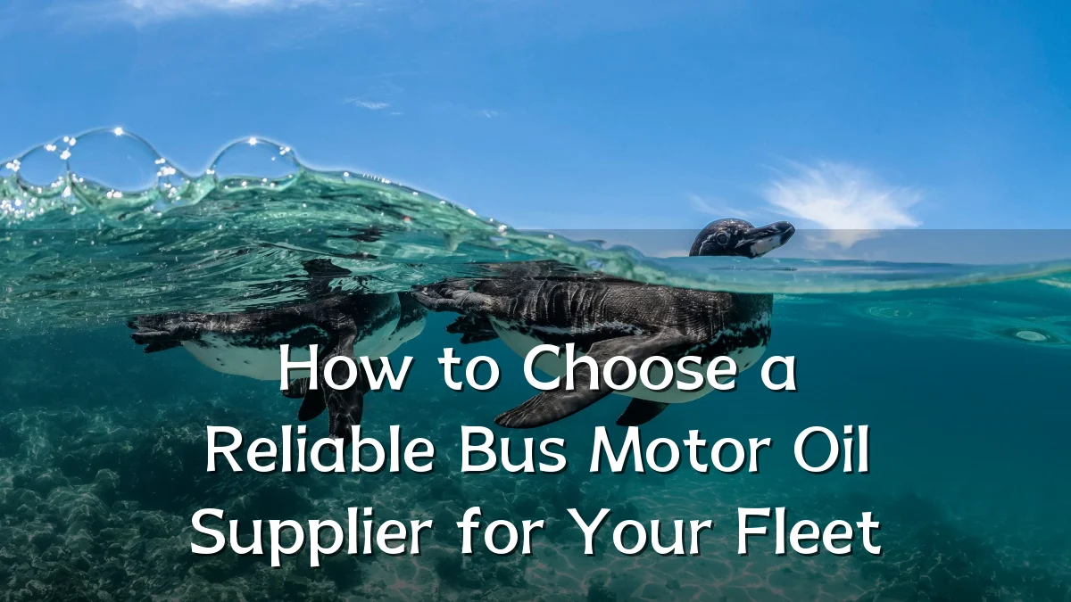 How to Choose a Reliable Bus Motor Oil Supplier for Your Fleet