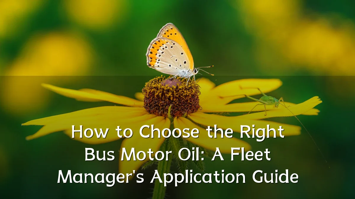 How to Choose the Right Bus Motor Oil: A Fleet Manager's Application Guide