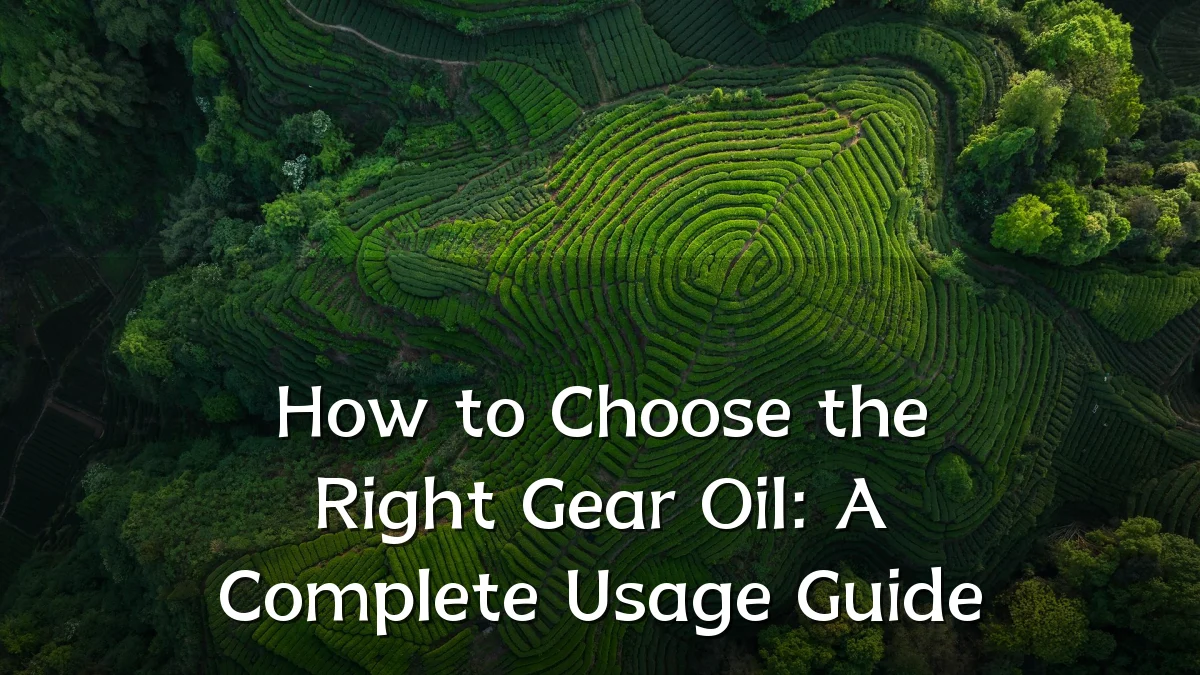 How to Choose the Right Gear Oil: A Complete Usage Guide