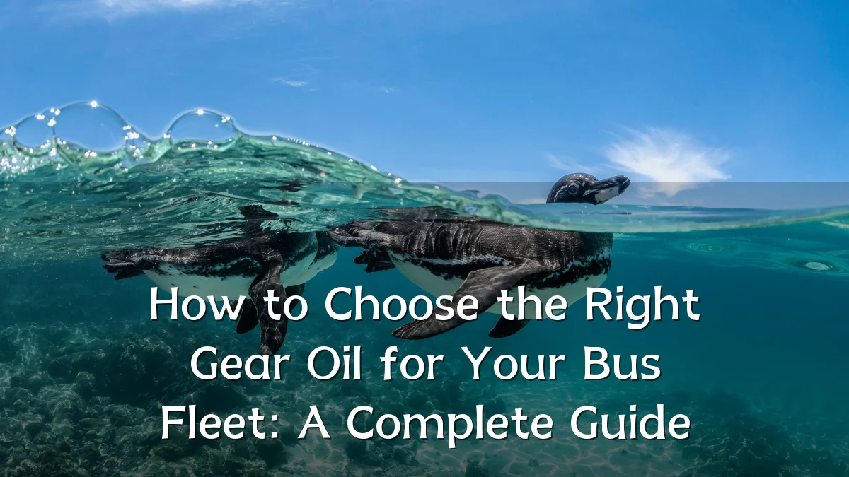 How to Choose the Right Gear Oil for Your Bus Fleet: A Complete Guide