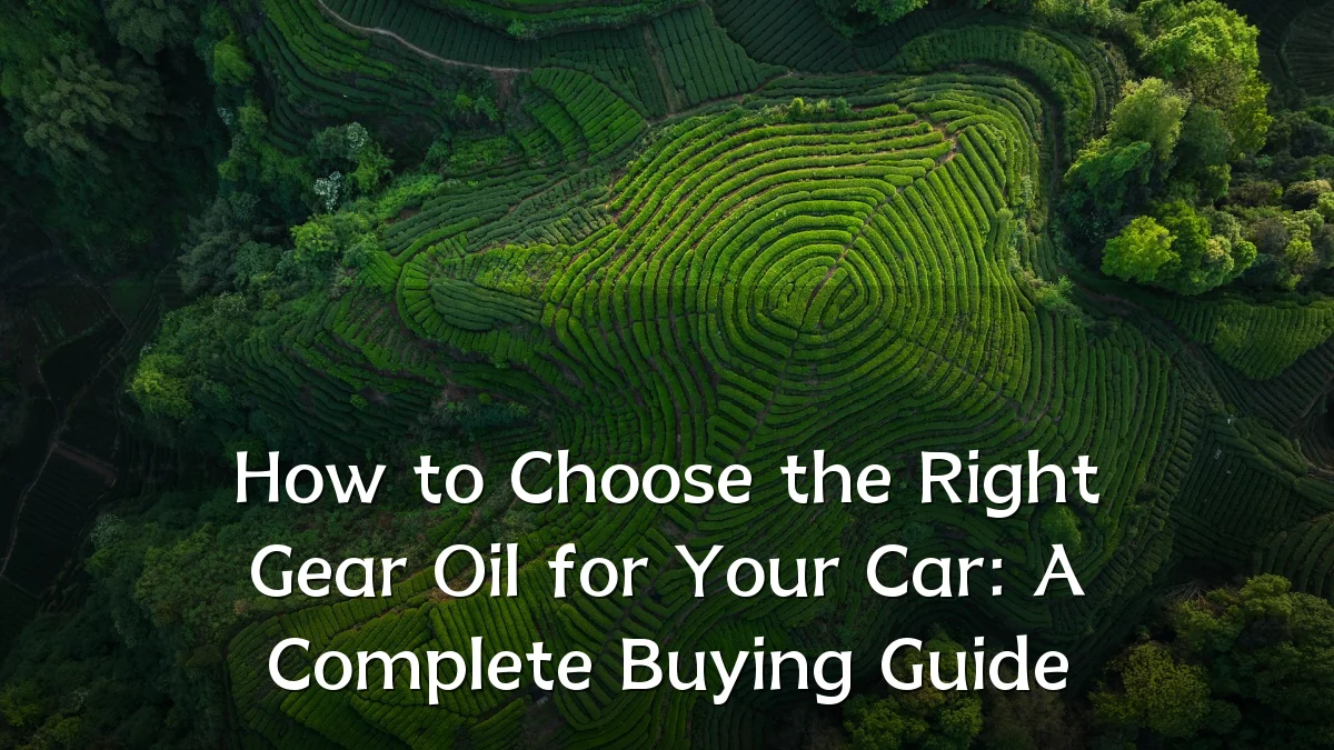 How to Choose the Right Gear Oil for Your Car: A Complete Buying Guide