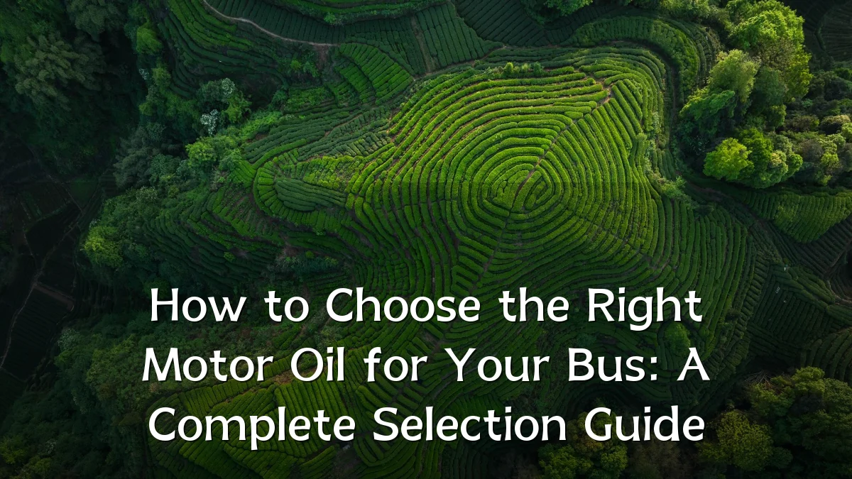 How to Choose the Right Motor Oil for Your Bus: A Complete Selection Guide