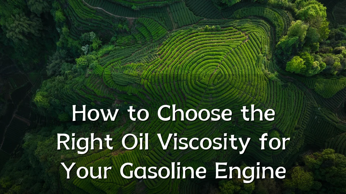 How to Choose the Right Oil Viscosity for Your Gasoline Engine