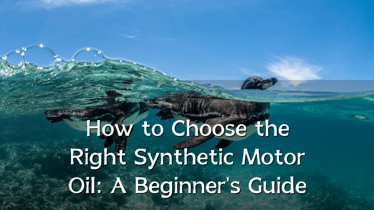 How to Choose the Right Synthetic Motor Oil: A Beginner's Guide