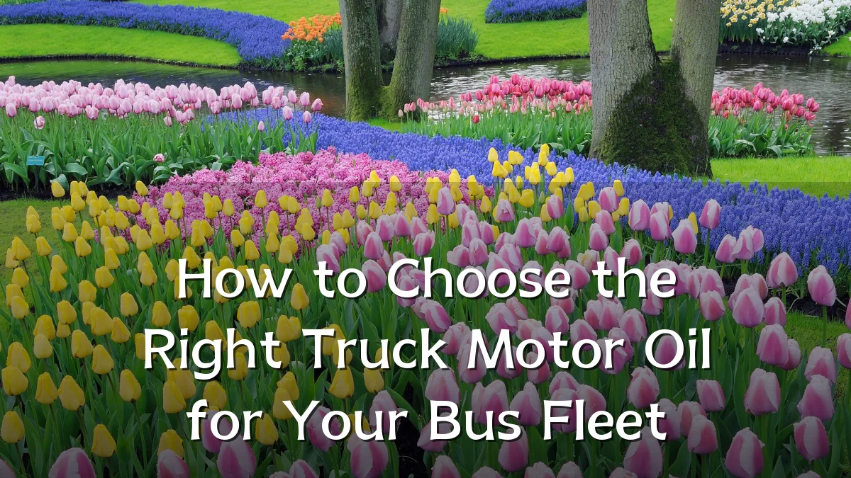 How to Choose the Right Truck Motor Oil for Your Bus Fleet