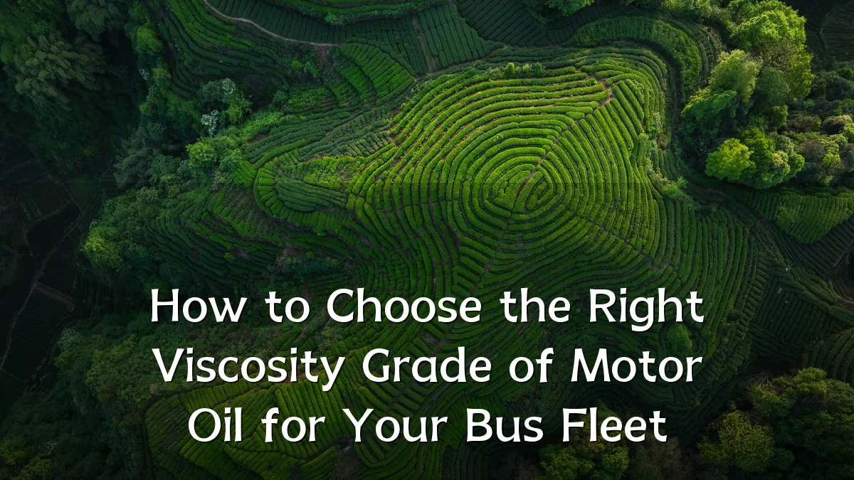 How to Choose the Right Viscosity Grade of Motor Oil for Your Bus Fleet