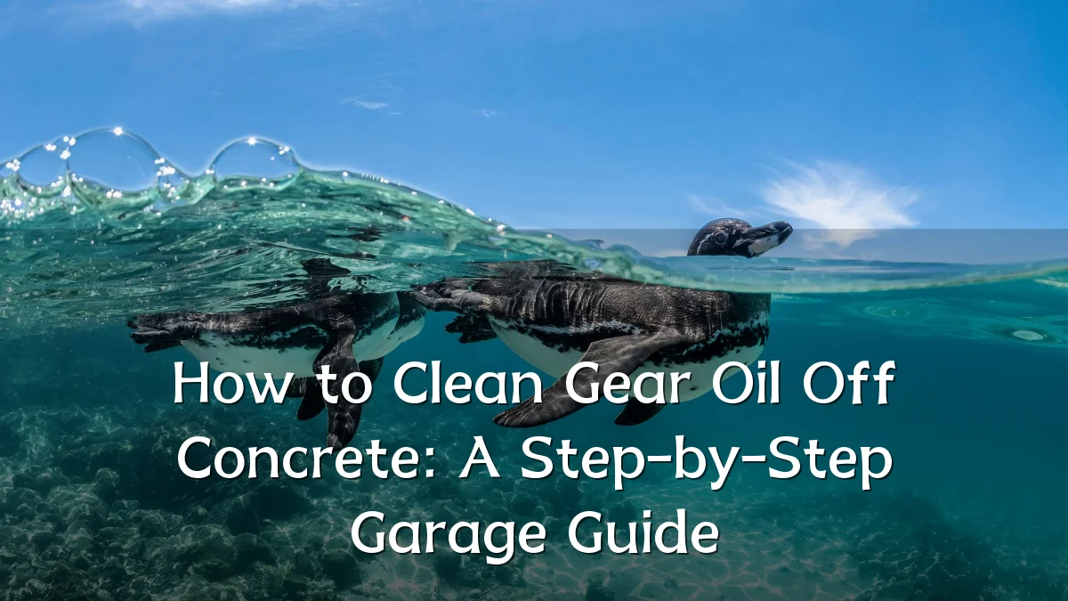 How to Clean Gear Oil Off Concrete: A Step-by-Step Garage Guide