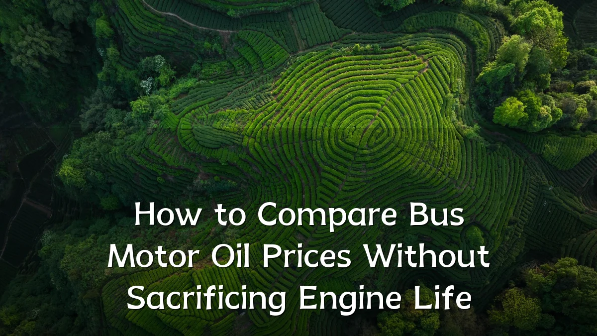 How to Compare Bus Motor Oil Prices Without Sacrificing Engine Life