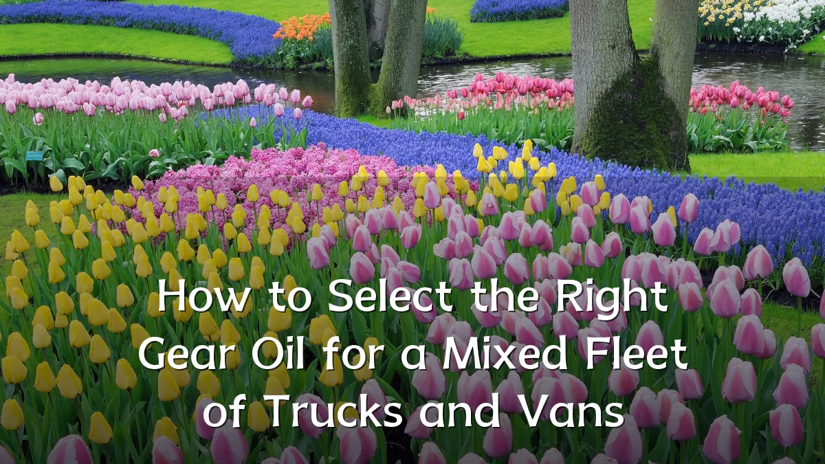 How to Select the Right Gear Oil for a Mixed Fleet of Trucks and Vans
