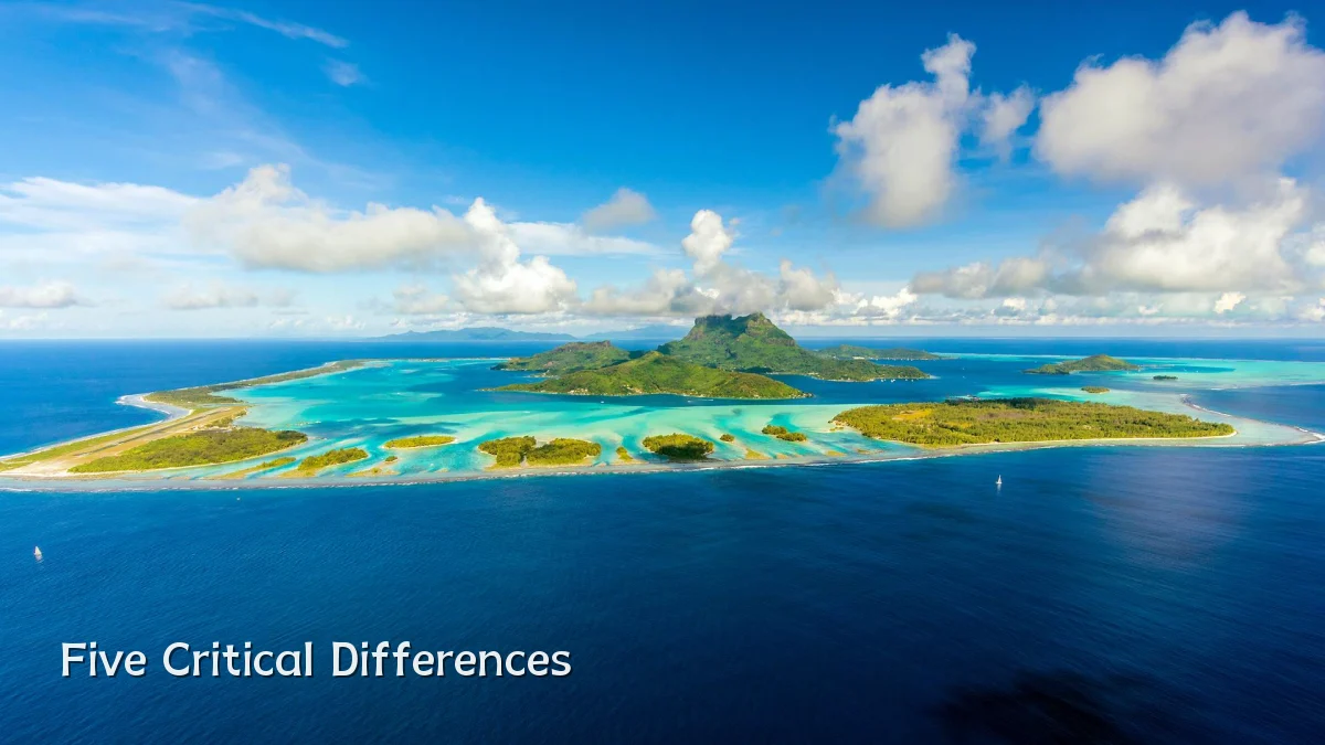 Five Critical Differences