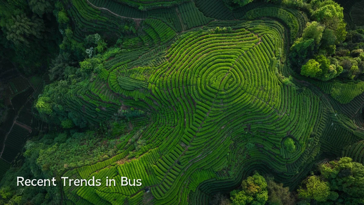 Recent Trends in Bus