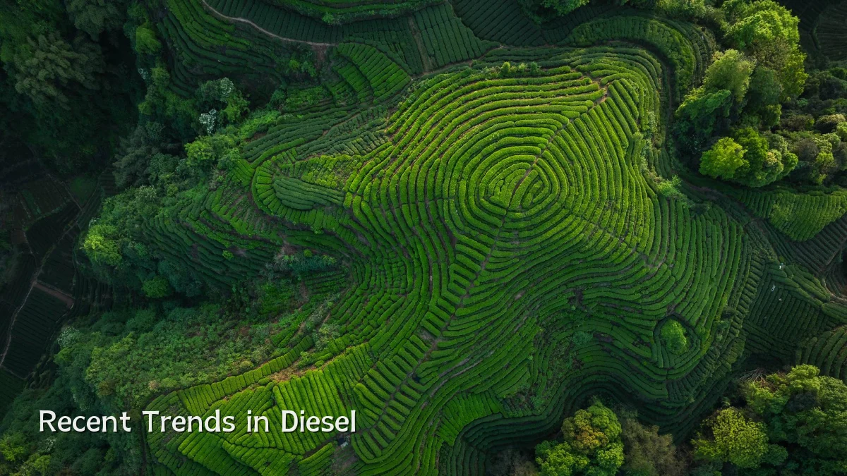 Recent Trends in Diesel