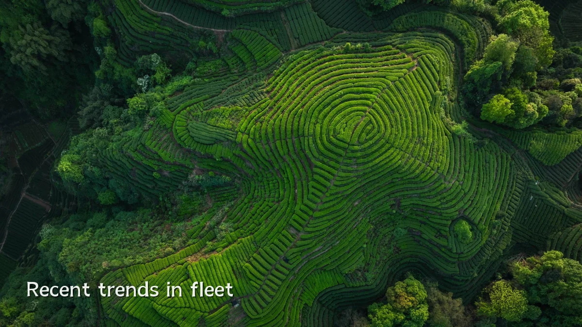 Recent trends in fleet
