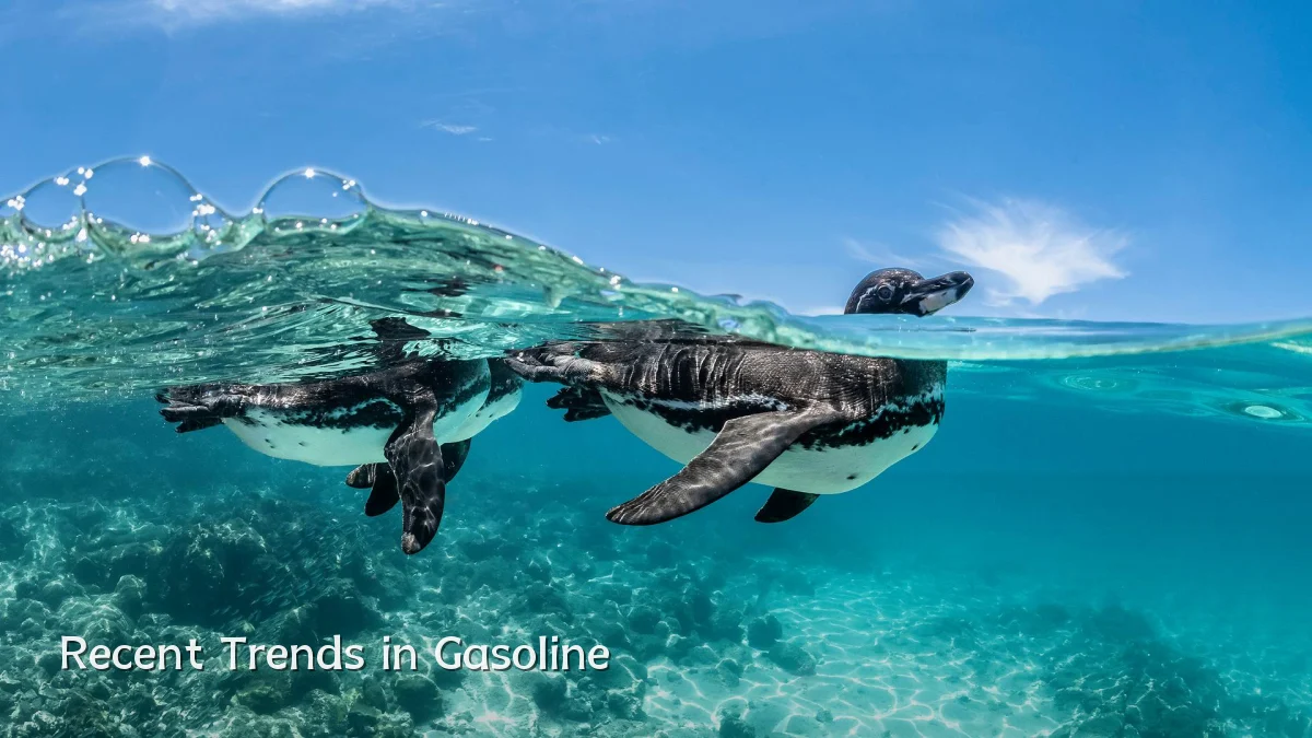 Recent Trends in Gasoline