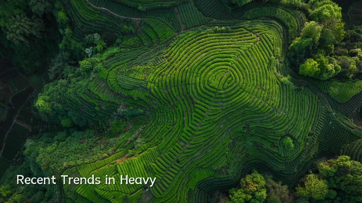 Recent Trends in Heavy