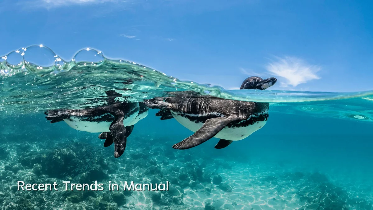 Recent Trends in Manual