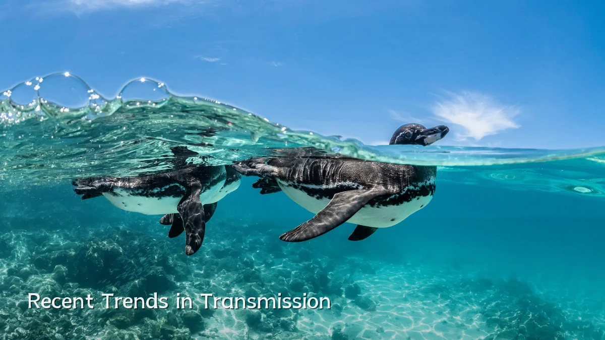 Recent Trends in Transmission