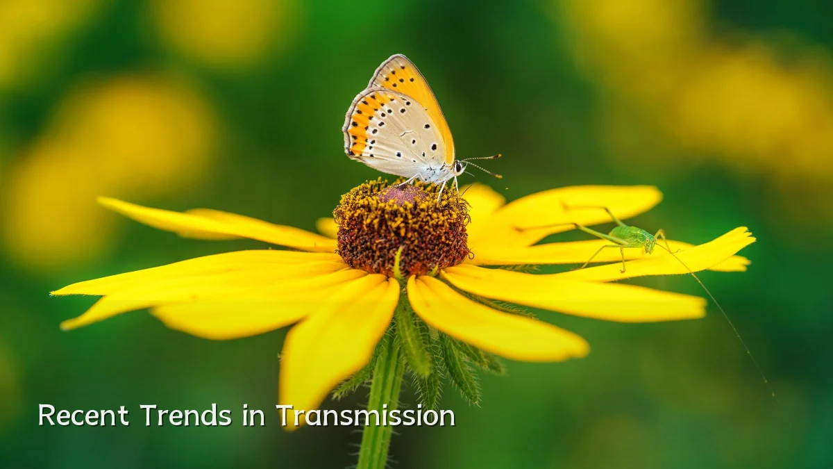 Recent Trends in Transmission
