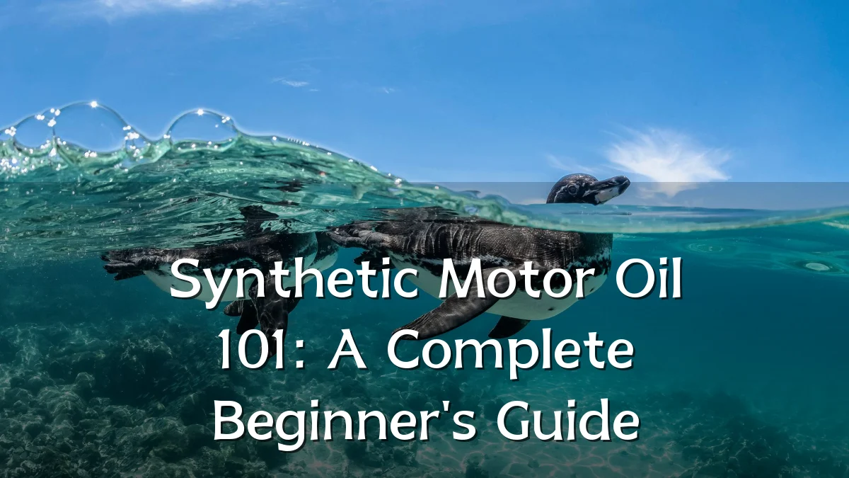 Synthetic Motor Oil 101: A Complete Beginner's Guide