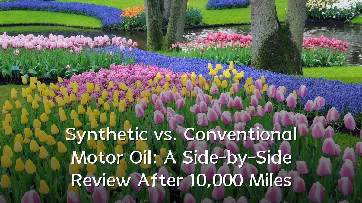 Synthetic vs. Conventional Motor Oil: A Side-by-Side Review After 10,000 Miles