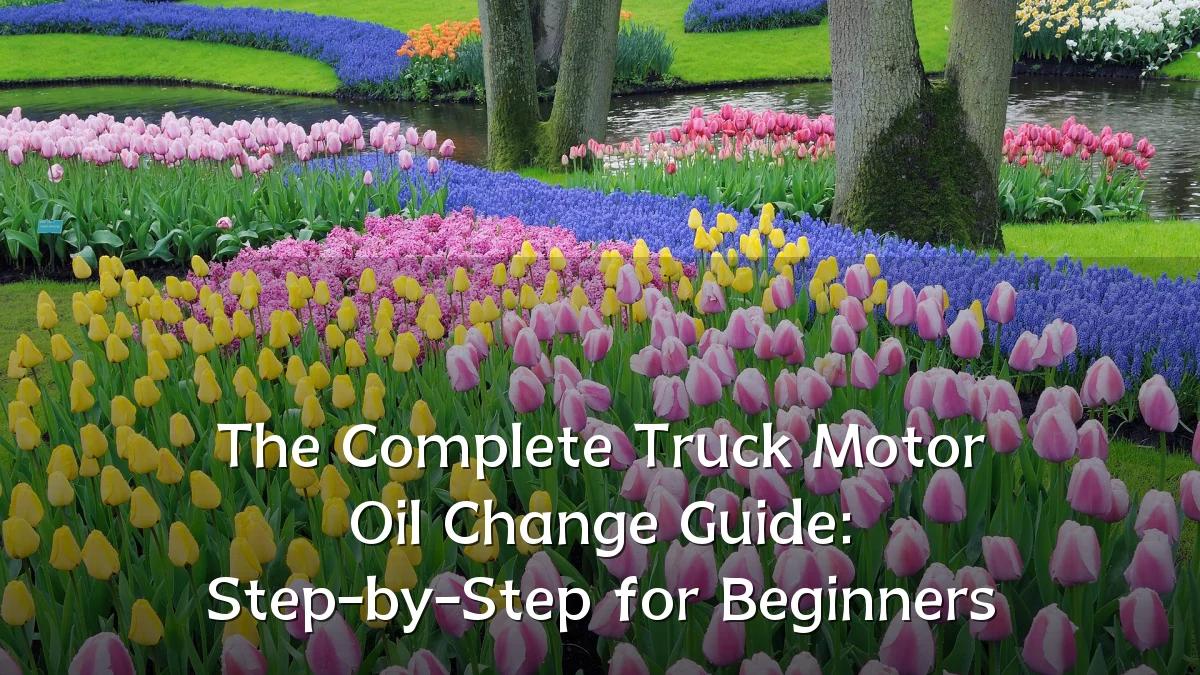 The Complete Truck Motor Oil Change Guide: Step-by-Step for Beginners