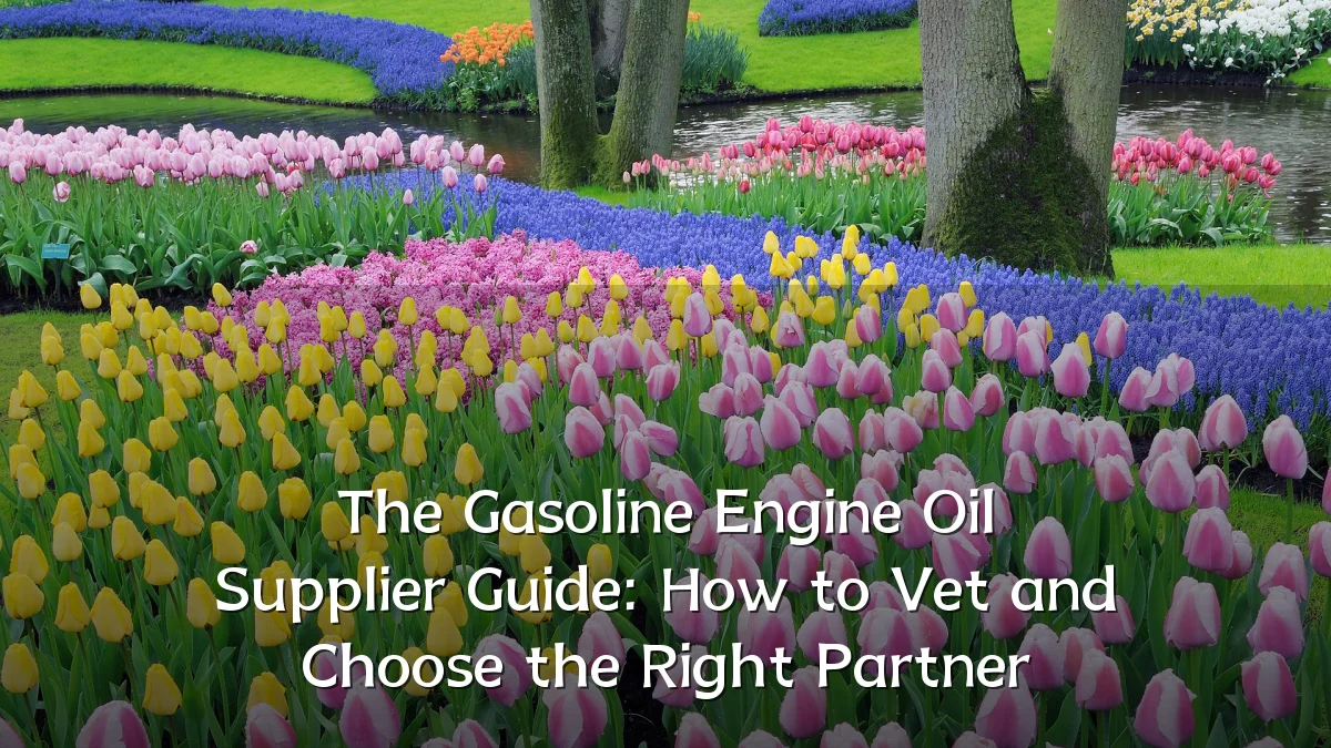 The Gasoline Engine Oil Supplier Guide: How to Vet and Choose the Right Partner