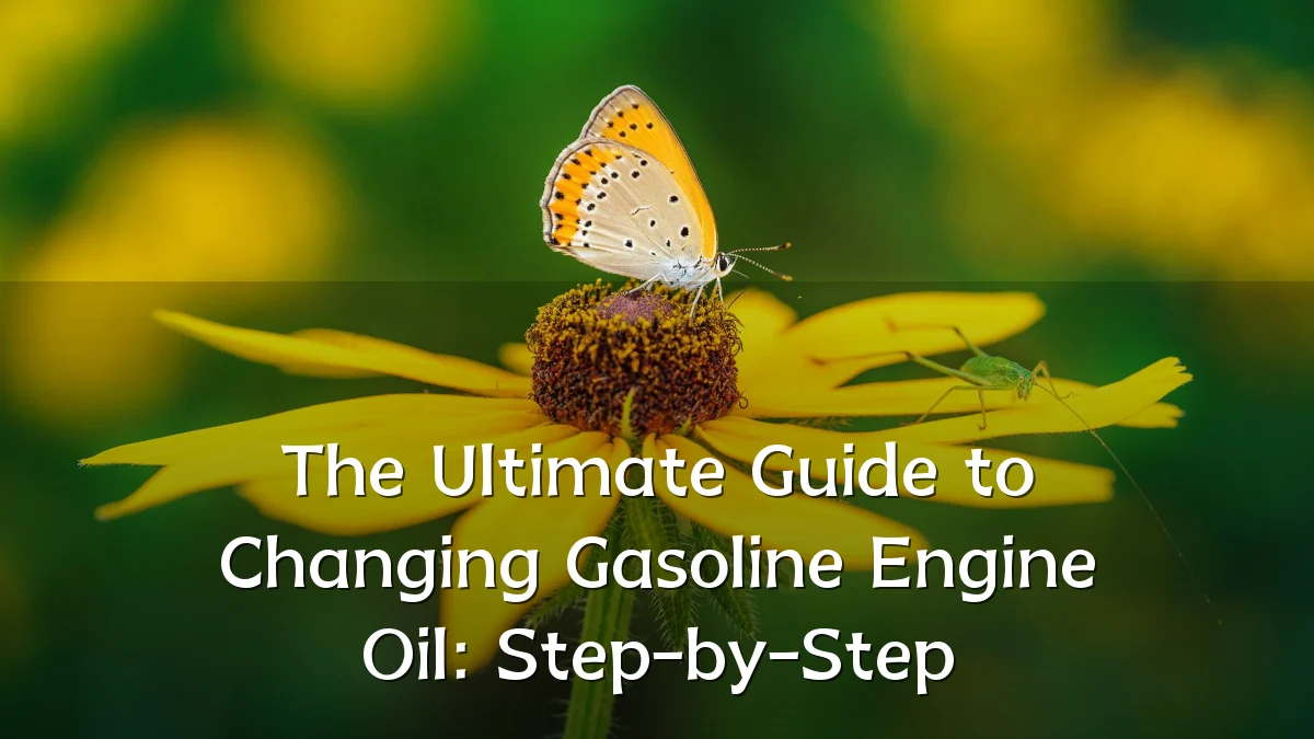 The Ultimate Guide to Changing Gasoline Engine Oil: Step-by-Step