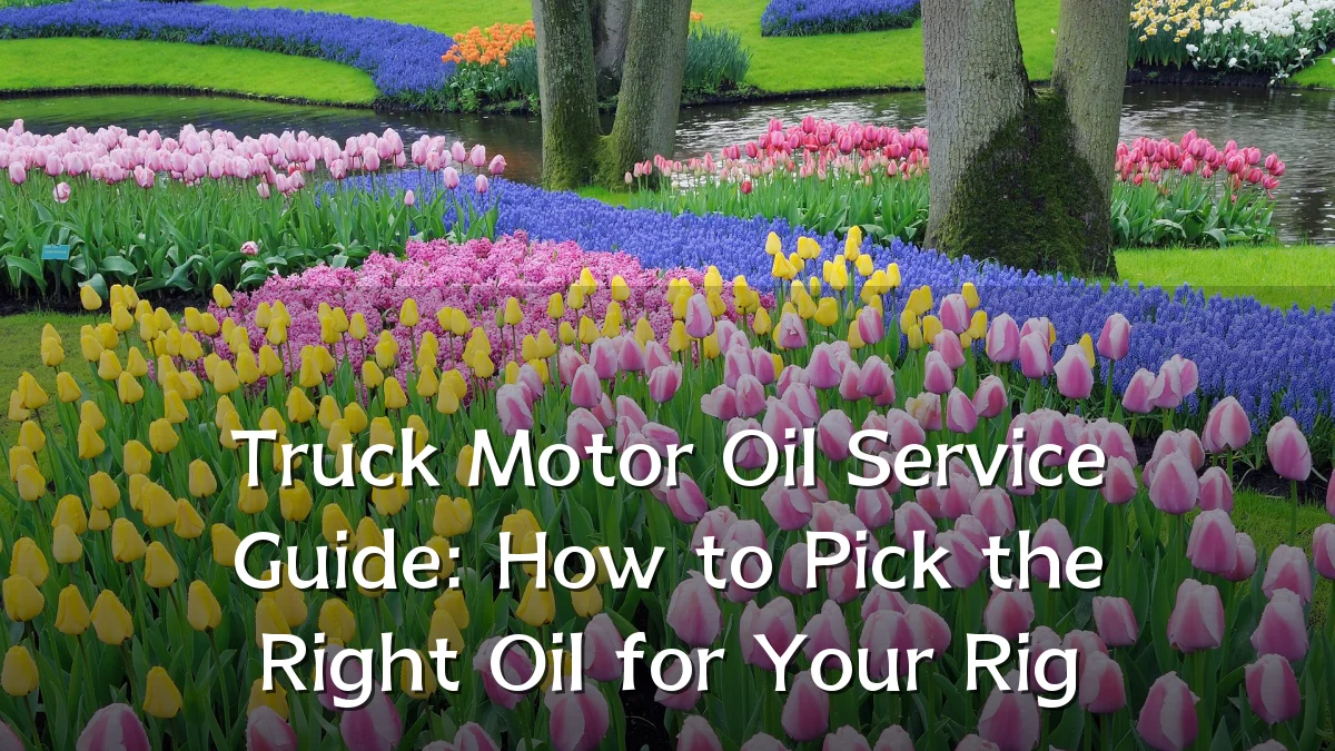Truck Motor Oil Service Guide: How to Pick the Right Oil for Your Rig