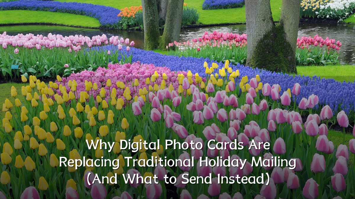 Why Digital Photo Cards Are Replacing Traditional Holiday Mailing (And What to Send Instead)