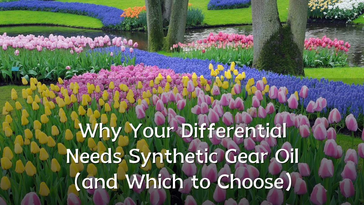 Why Your Differential Needs Synthetic Gear Oil (and Which to Choose)